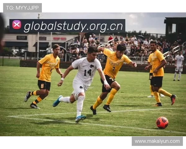 乐鱼体育的赛事直播功能带来的全新体验